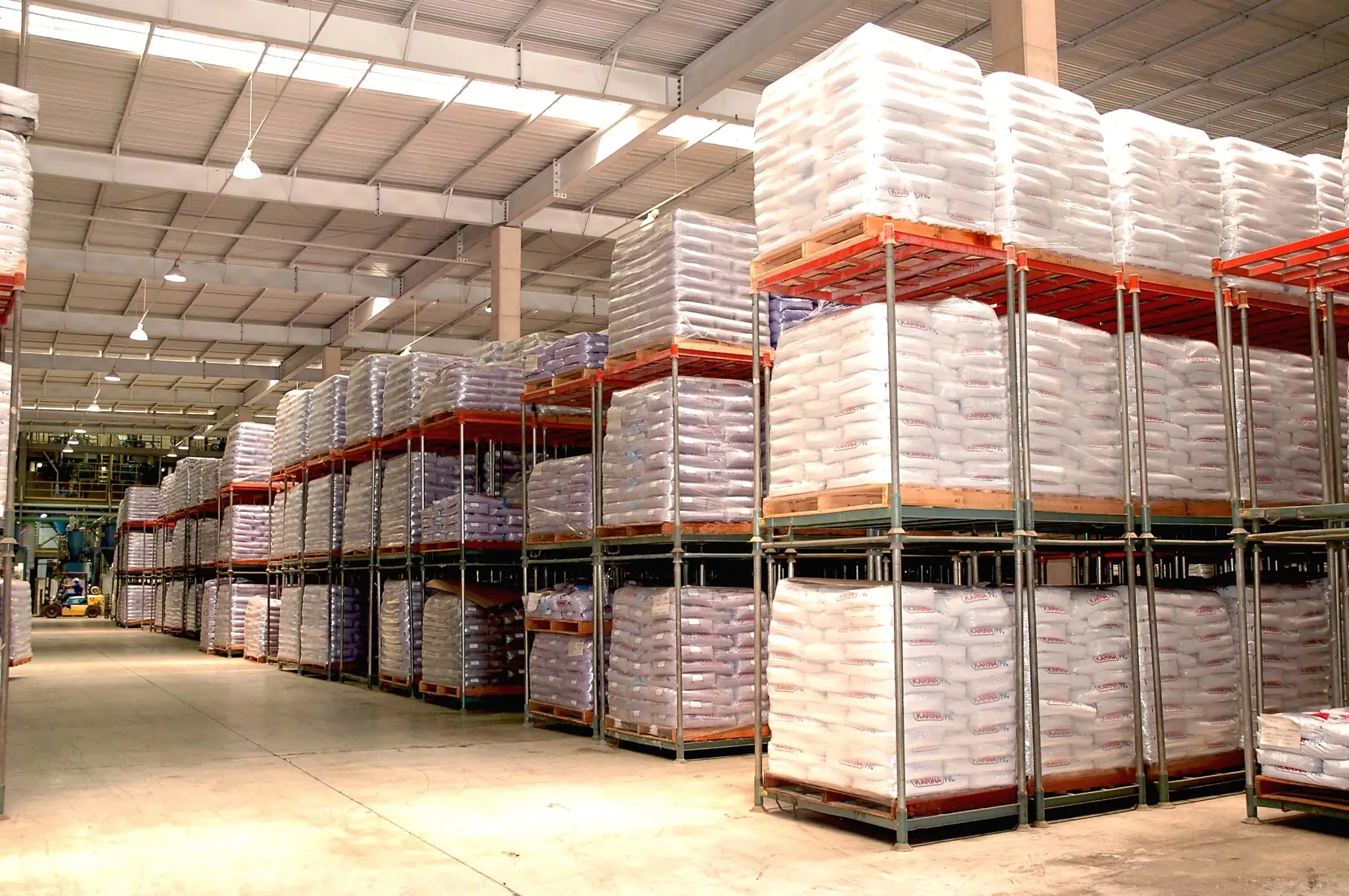 Long Pallet com cargas